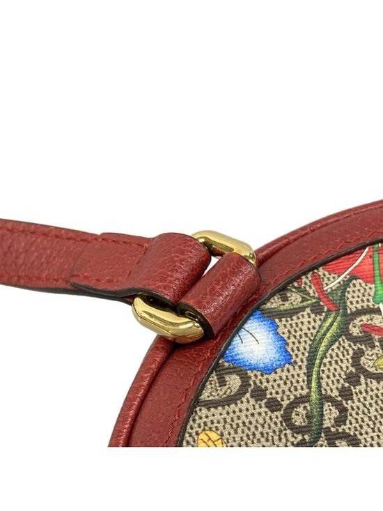 Gucci Backpack Ophidia GG Mini Tian Beige Red Multi Chain main image 12